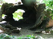 IMG_9352