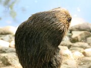 IMG_9355