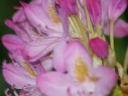 IMG_9356