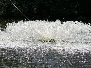 IMG_9357