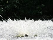 IMG_9358