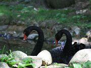 IMG_9359