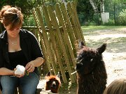IMG_5110