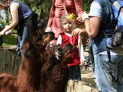 IMG_5114