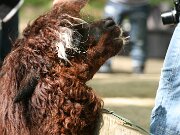 IMG_5124