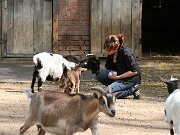 IMG_5132