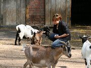 IMG_5133