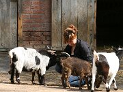 IMG_5136