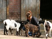 IMG_5138