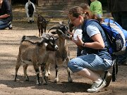 IMG_5139