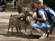 IMG_5140