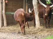 IMG_5163