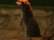 IMG_3621