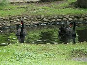 IMG_3626