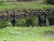 IMG_3627