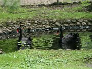 IMG_3628