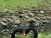 IMG_3631