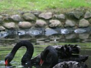 IMG_3636