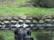 IMG_3638