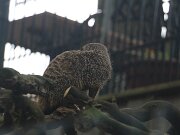 IMG_0002
