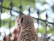 IMG_0004