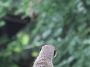 IMG_0008