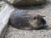 IMG_0009