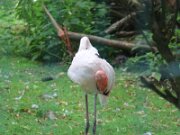 IMG_0013