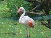 IMG_0015