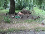 IMG_0018