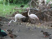 IMG_0019