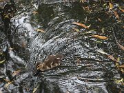 IMG_0020