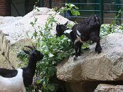 IMG_0010