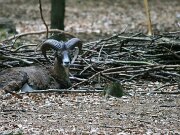 IMG_9211