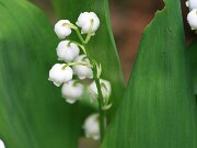 IMG_9212