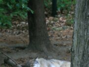 IMG_9216