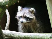 IMG_9218