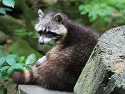 IMG_9219