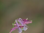 IMG_9220