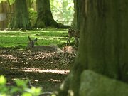 IMG_7263