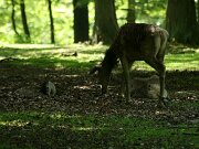 IMG_7267
