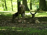 IMG_7269