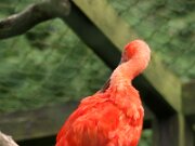 IMG_3136