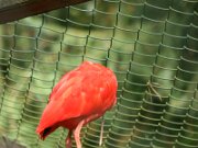 IMG_3138