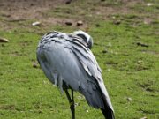 IMG_3142