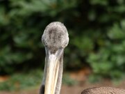 IMG_3143