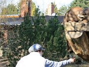 IMG_7307