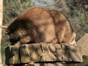 IMG_7312
