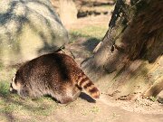 IMG_7313