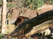 IMG_7315